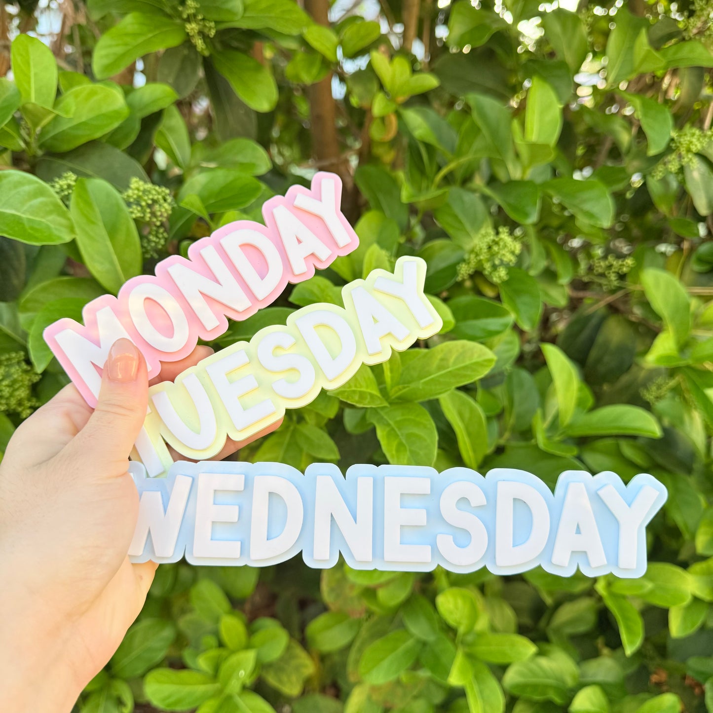 Magnetic Days of the Week Set for Whiteboard | Classroom Decor | Homeschool Organization | Pastel Teacher Board Labels | Kids Learning Tools