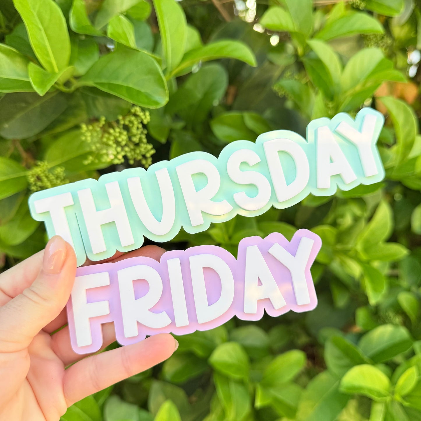 Magnetic Days of the Week Set for Whiteboard | Classroom Decor | Homeschool Organization | Pastel Teacher Board Labels | Kids Learning Tools