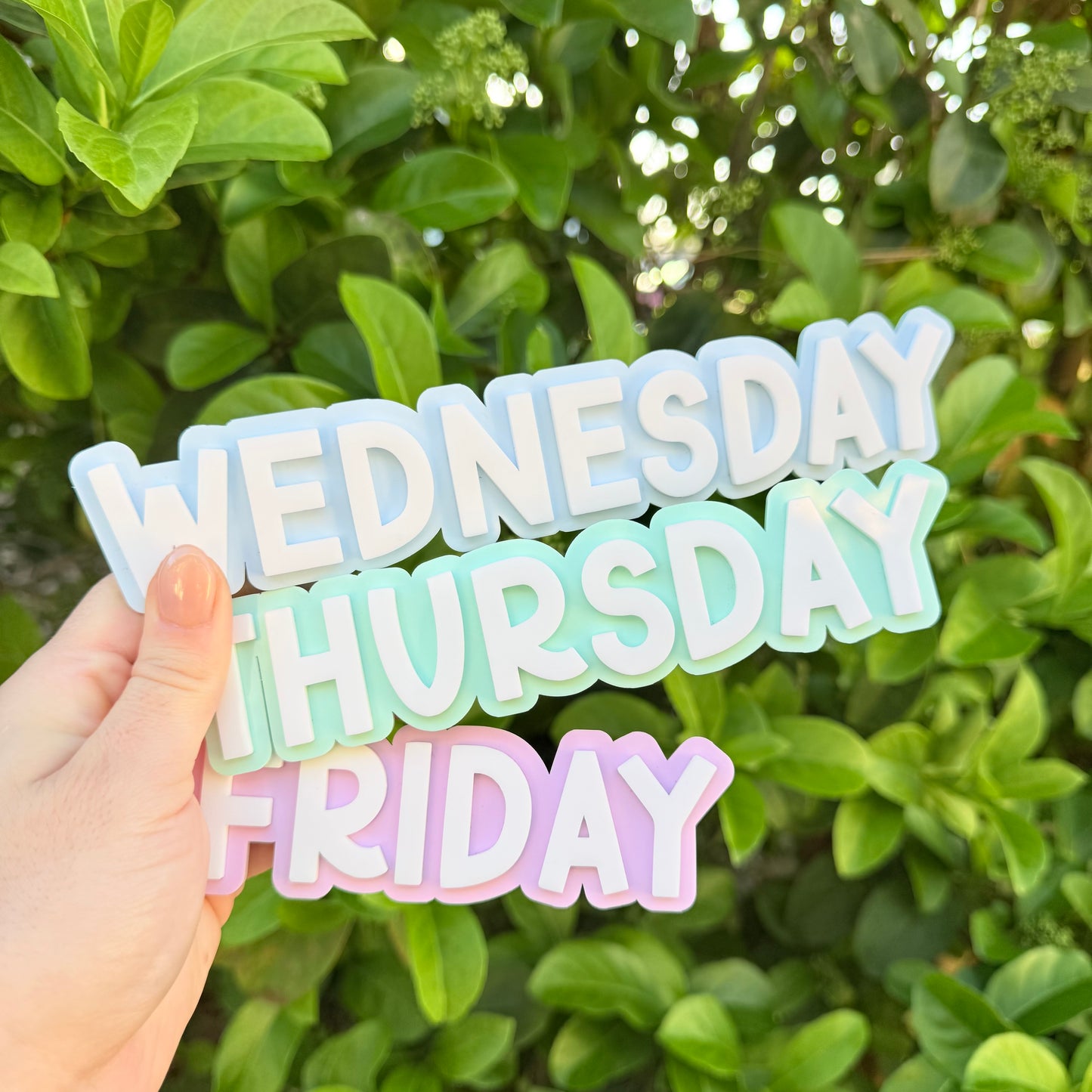 Magnetic Days of the Week Set for Whiteboard | Classroom Decor | Homeschool Organization | Pastel Teacher Board Labels | Kids Learning Tools